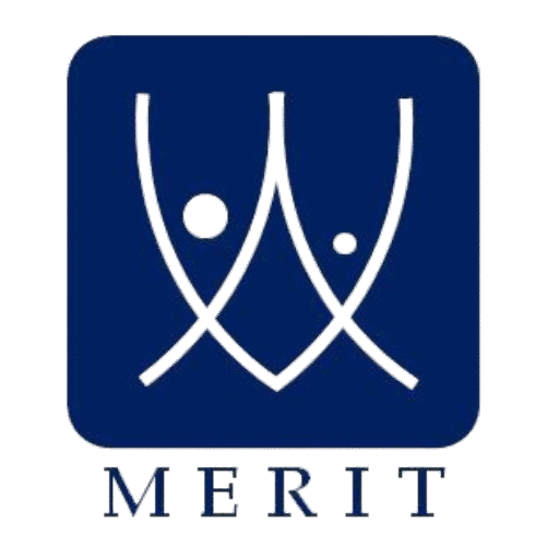 Meritedge technologies logo